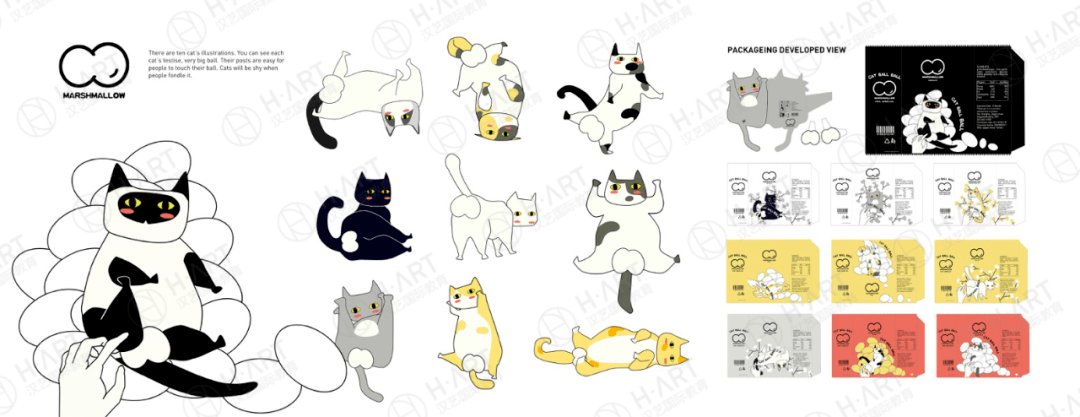 只是一次偶然的旅行