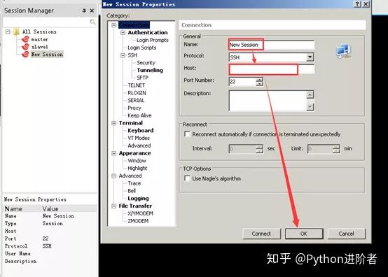 光荣之路上的狗
