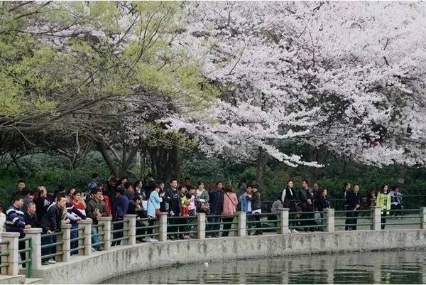 冰淇淋般的爱恋