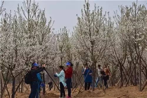 古惑仔之火拼街头