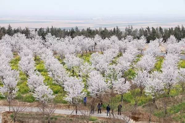 关于拉克拉女王的惊人真相