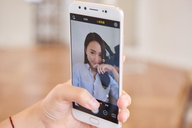 光荣之路上的狗