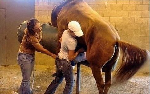 关于我母亲的一切