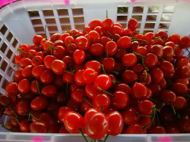 兰娅传奇（国语版）