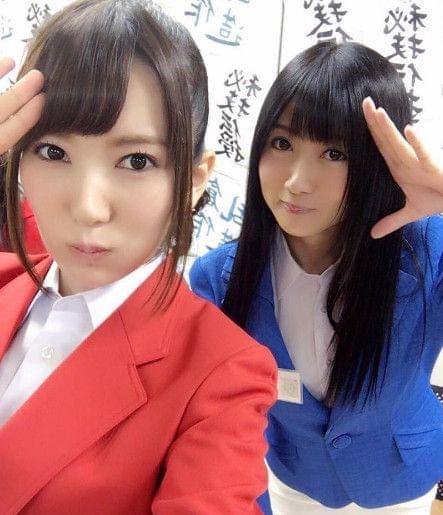 史酷比！毛茸茸的对决