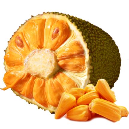 反恐特警组:火速救援