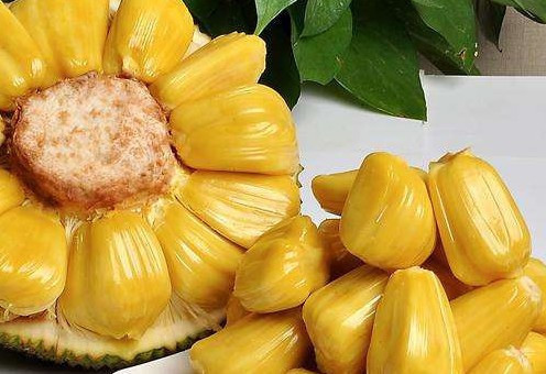 全面失控：私家侦探妈妈