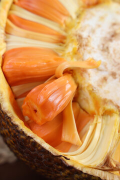 刀剑神域进击篇：暮色黄昏 劇場版